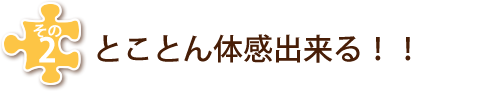 その２　とことん体感出来る！！